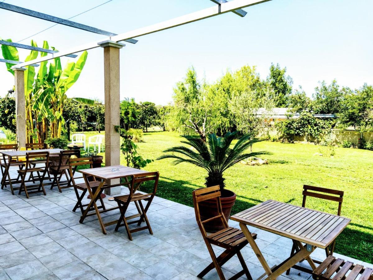 Agriturismo La Vite Maritata Pietrasanta Exterior foto